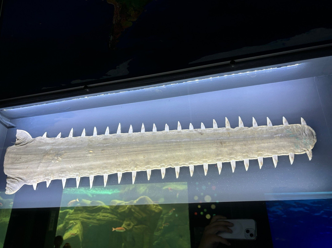 CRETAquarium-Gournes必去景点