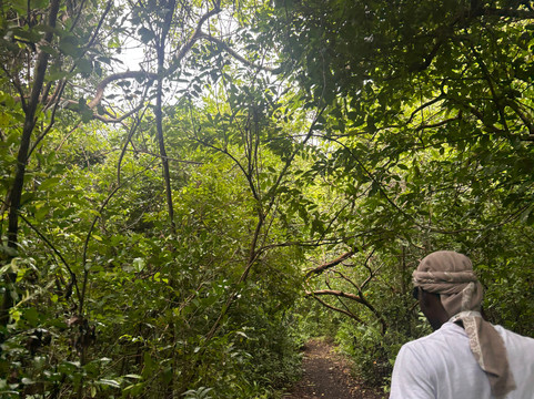 Vista Zanzibar Tours & Safaris-桑给巴尔岛必去景点