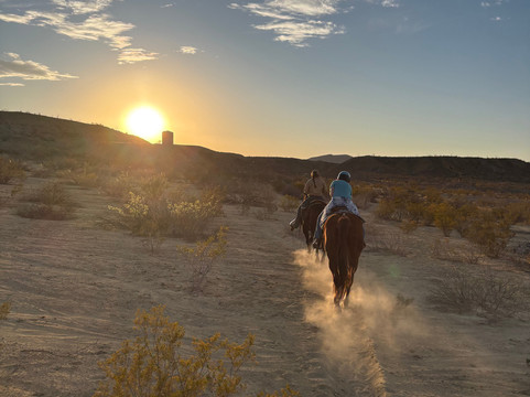 Big Bend & Lajitas Stables-Terlingua必去景点