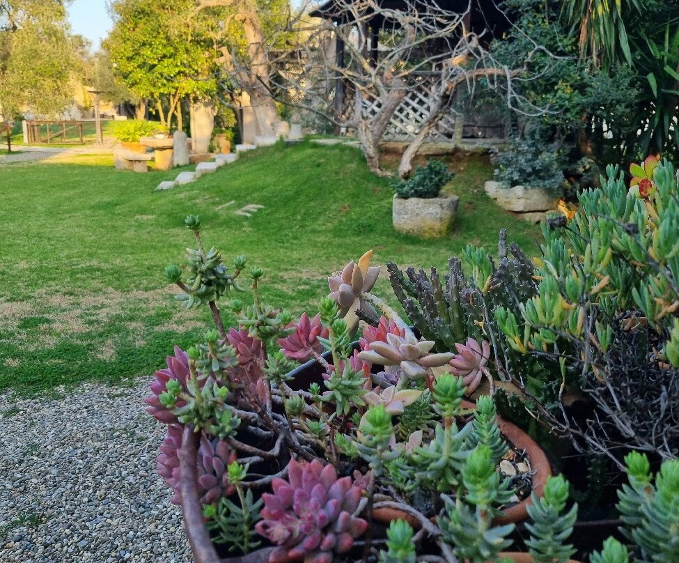 马塞里亚拉米耶酒店主图