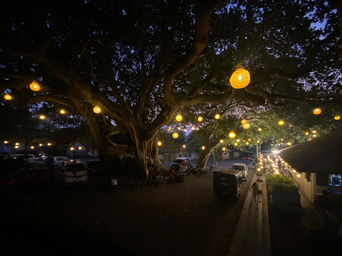 Sri Lanka Magical Tours-奴娃拉伊利雅必去景点