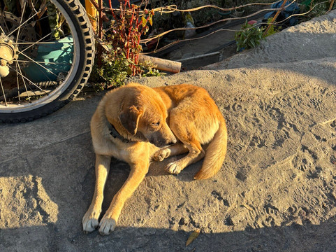 Mount Ulap-Itogon必去景点