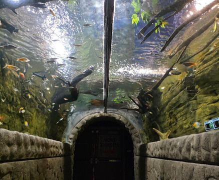 Electric City Aquarium & Reptile Den-斯克兰顿必去景点