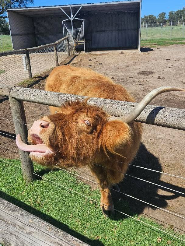 Oakvale Wildlife Park-威廉斯顿必去景点