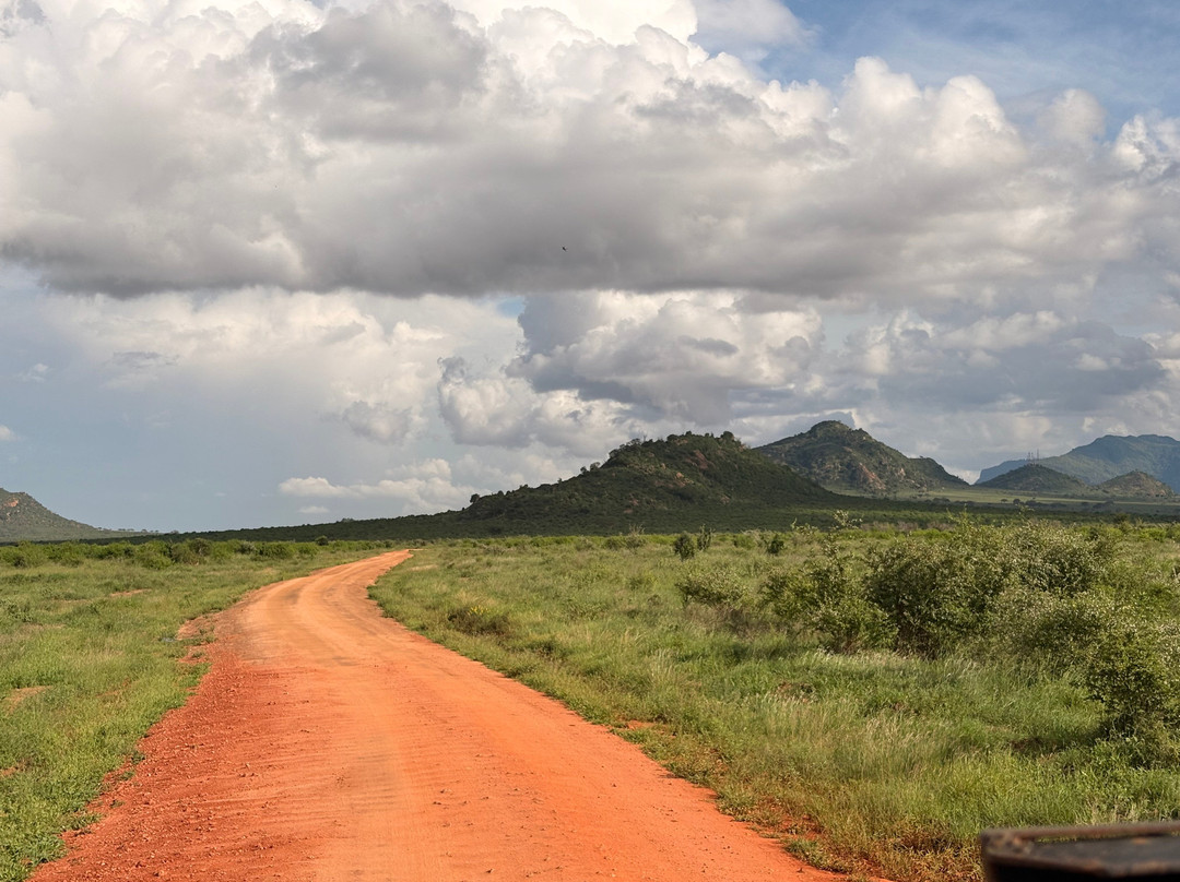 Safari In Kenya Con Samba-瓦塔木必去景点