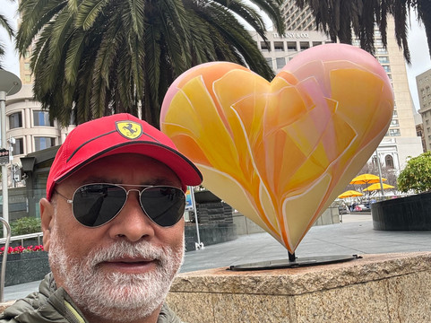 STIC Travel Group-新德里必去景点