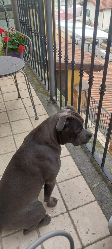 博吉奥雷吉罗绿色酒店-官方