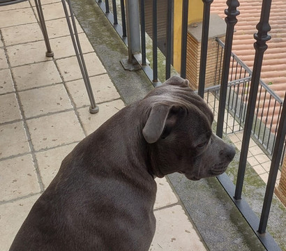 博吉奥雷吉罗绿色酒店主图