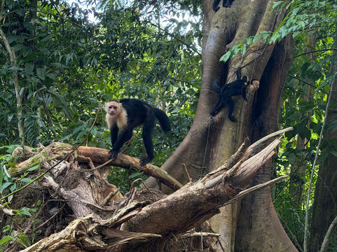 Hacienda Baru Lodge-主日镇必去景点