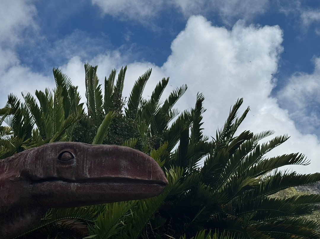 康斯坦博西国家植物园-Newlands必去景点