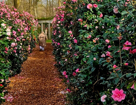 Renishaw Hall And Gardens-Renishaw必去景点