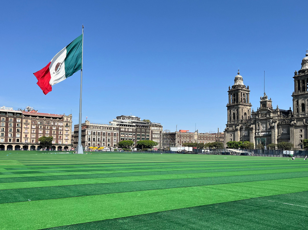 Estacion Mexico Free Tours-墨西哥城必去景点