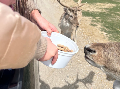 Texas Zoofari Park-Kaufman必去景点