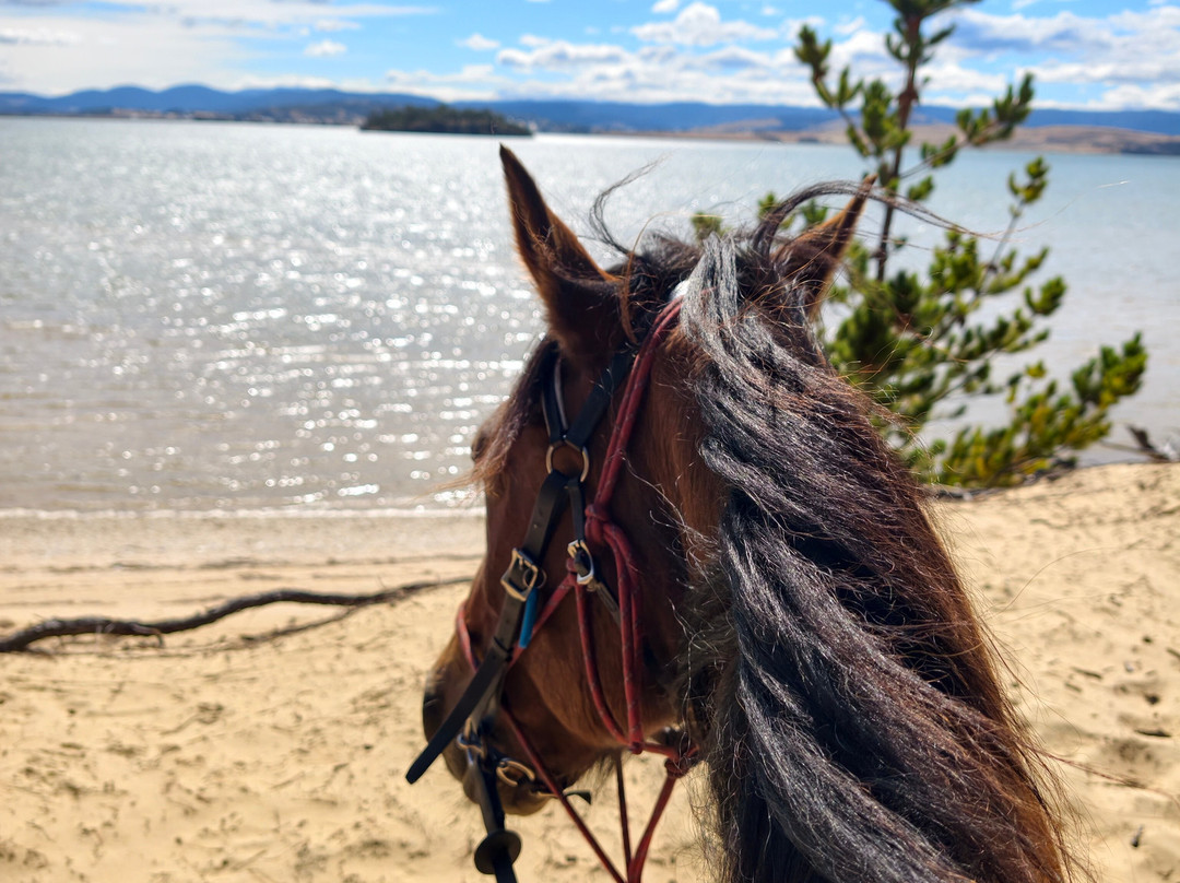 Horse Riding Tasmania-Woodsdale必去景点