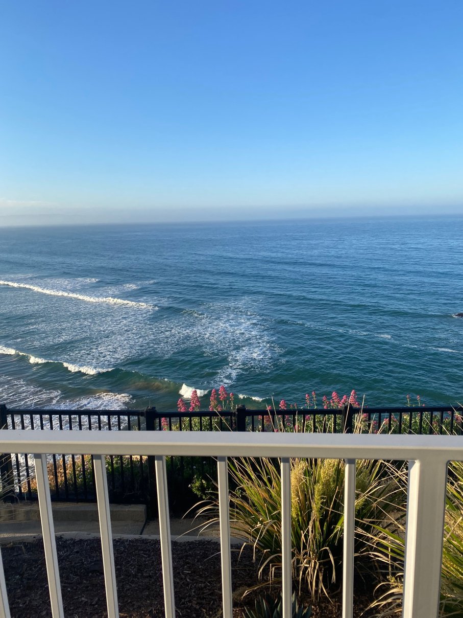 肖尔克里夫酒店-官方