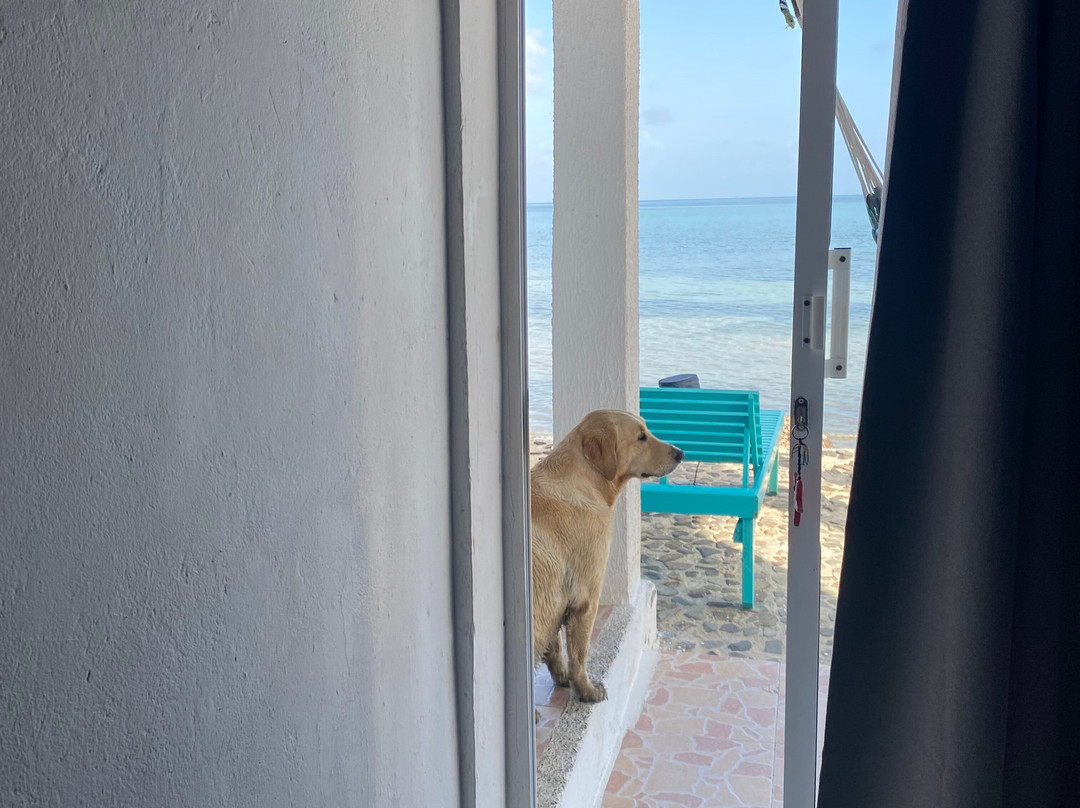 Posada Old Town Bay主图