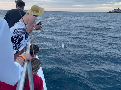 YaMon Red Stripe Catamaran Cruises-内格里尔必去景点