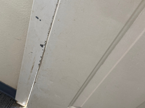 埃尔里诺温德姆戴斯酒店主图