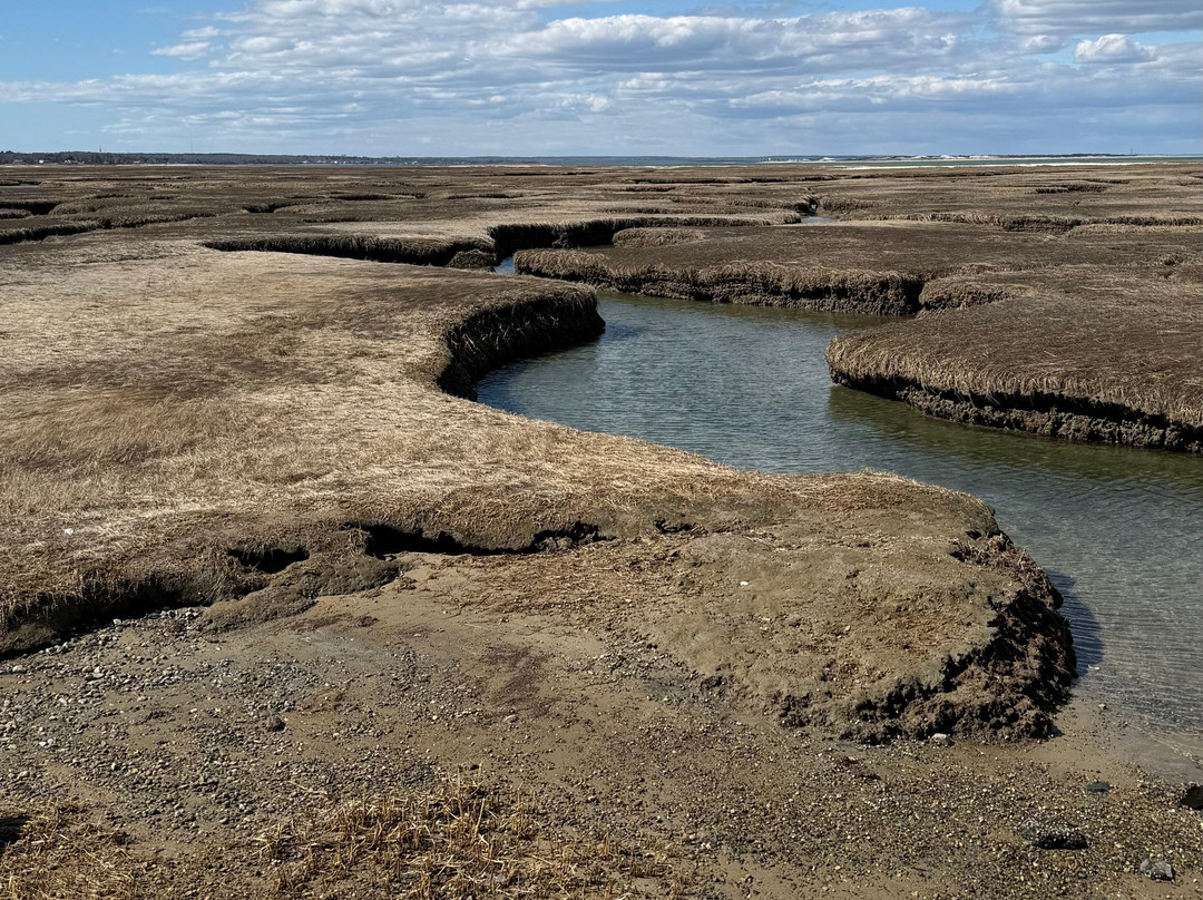Bass Hole Boardwalk-Yarmouth Port必去景点