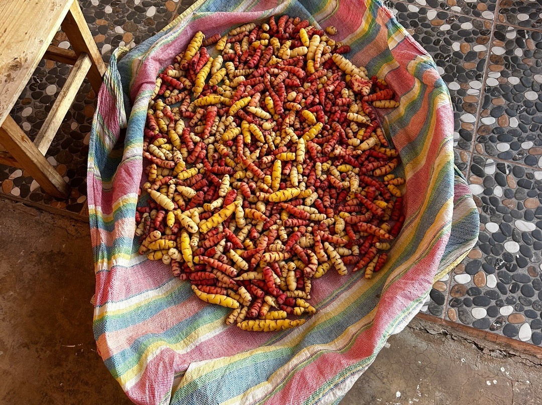 Tikawasi Homestay - Comunidad Pueblo - José Luis Calsin主图