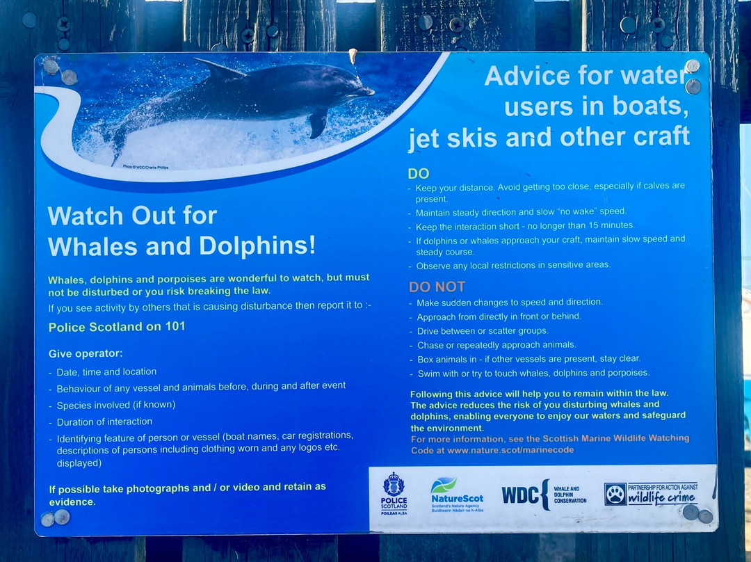 Tayport Harbour-Tayport必去景点