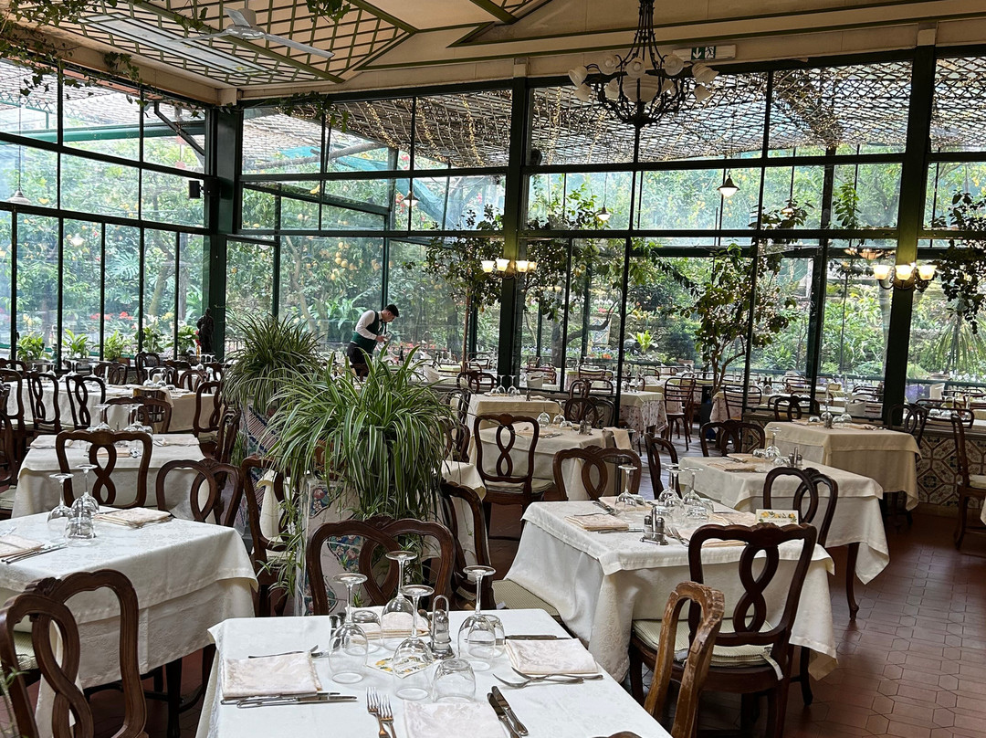 ALCAEXCURSIONS-索伦托必去景点