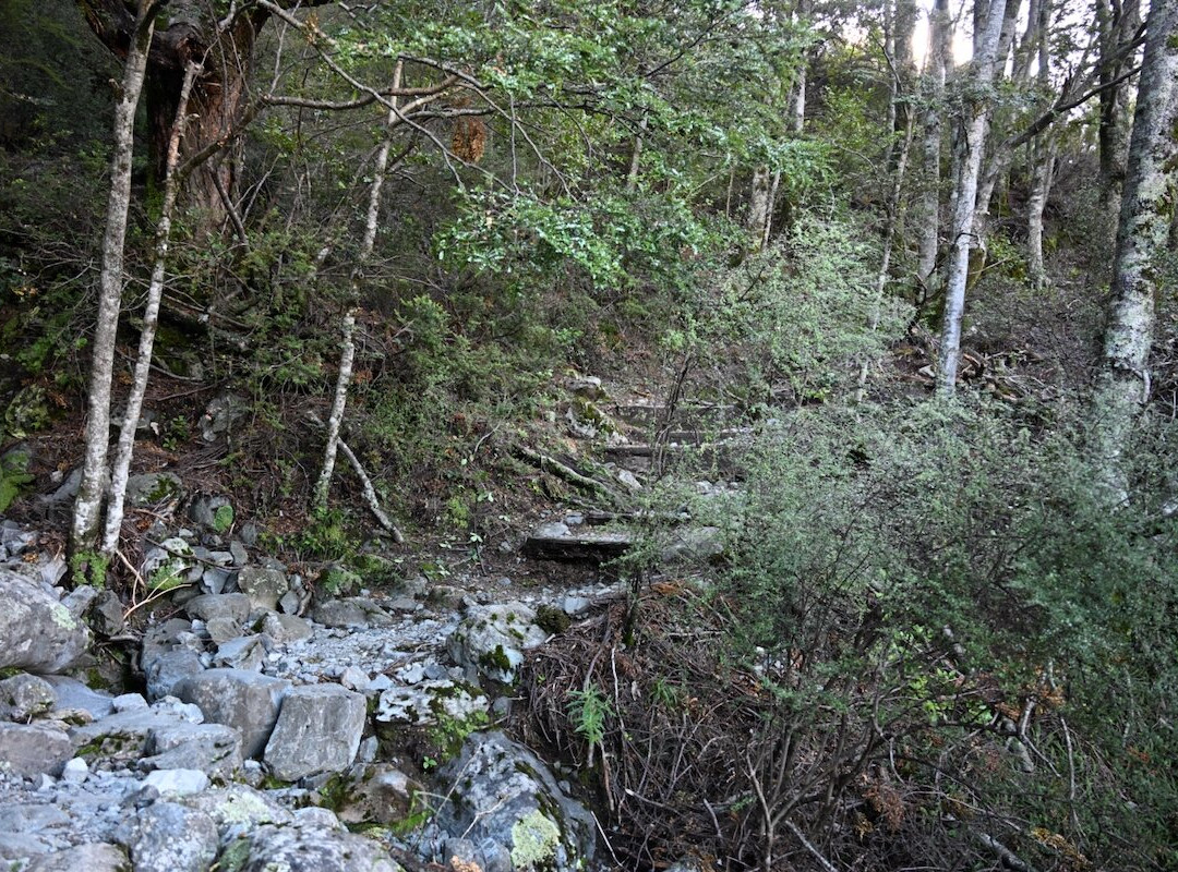 Red Tarns Track-库克山村庄必去景点