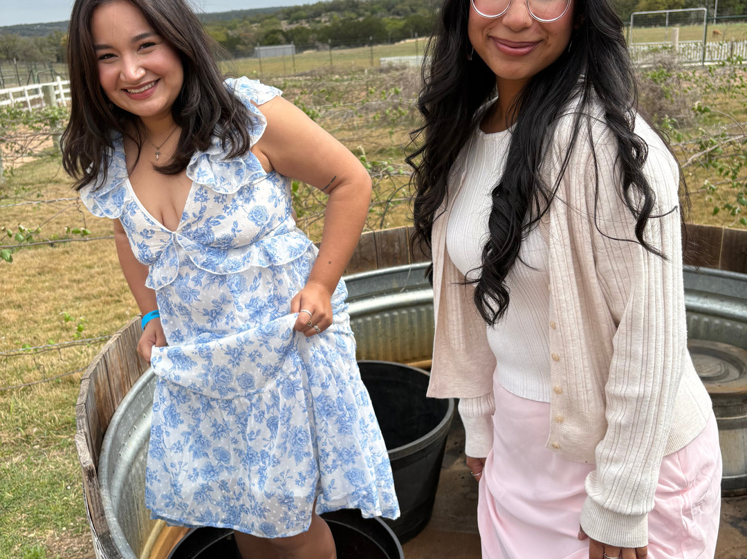 Grapetown Vineyard-弗雷德里克斯堡必去景点