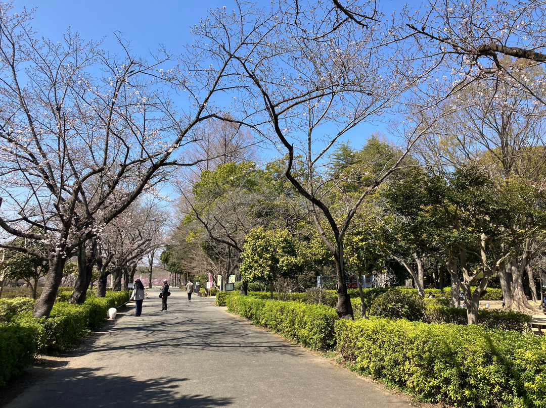 Ageo Maruyama Park-上尾市必去景点