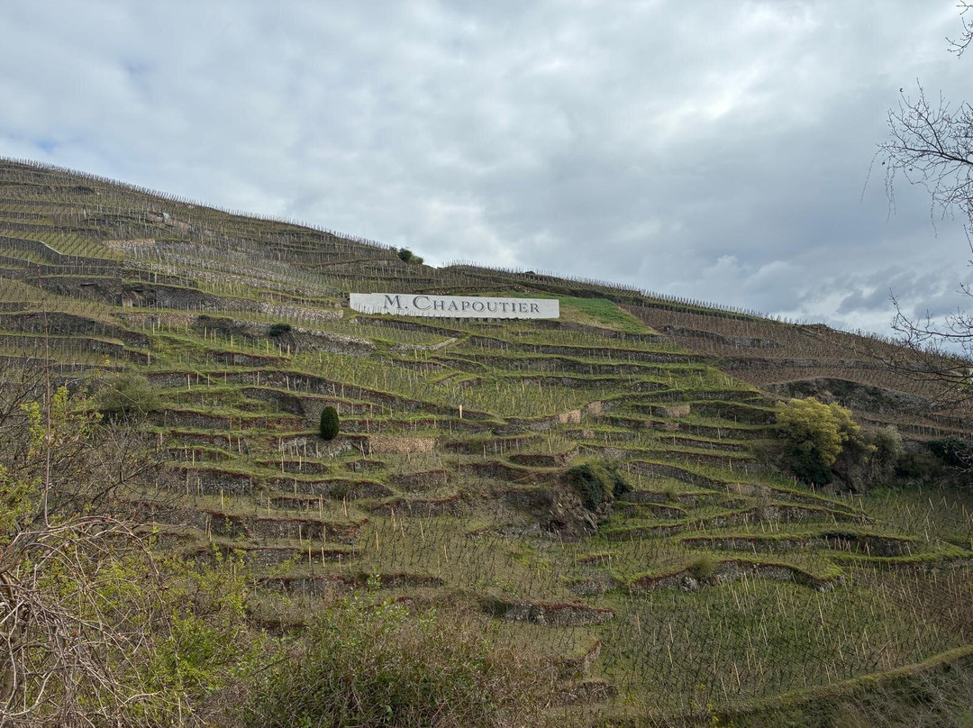 Rhone Wine Tours-尼永必去景点