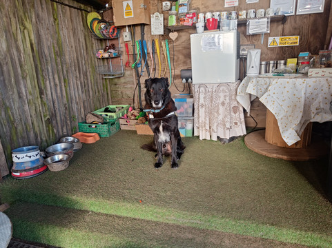 Winterton Hound Ground-Winterton-on-Sea必去景点