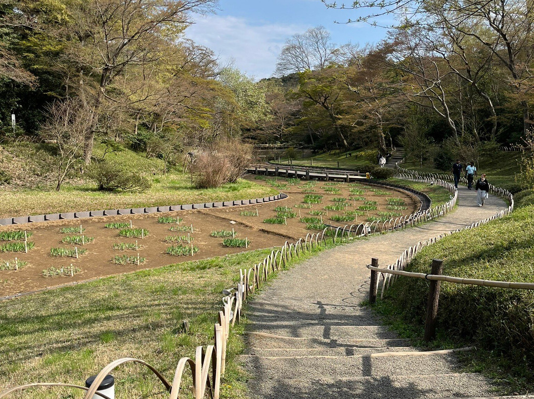 Meiji Shrine Imperial Garden-涩谷区必去景点