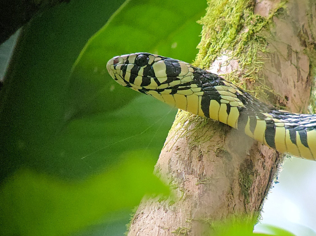 Surcos Tours-希门尼斯港必去景点