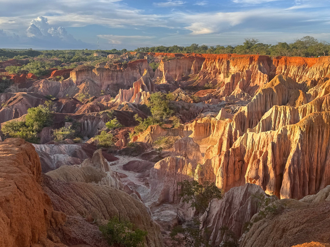 Vivi Il Kenya Con Sorriso-瓦塔木必去景点