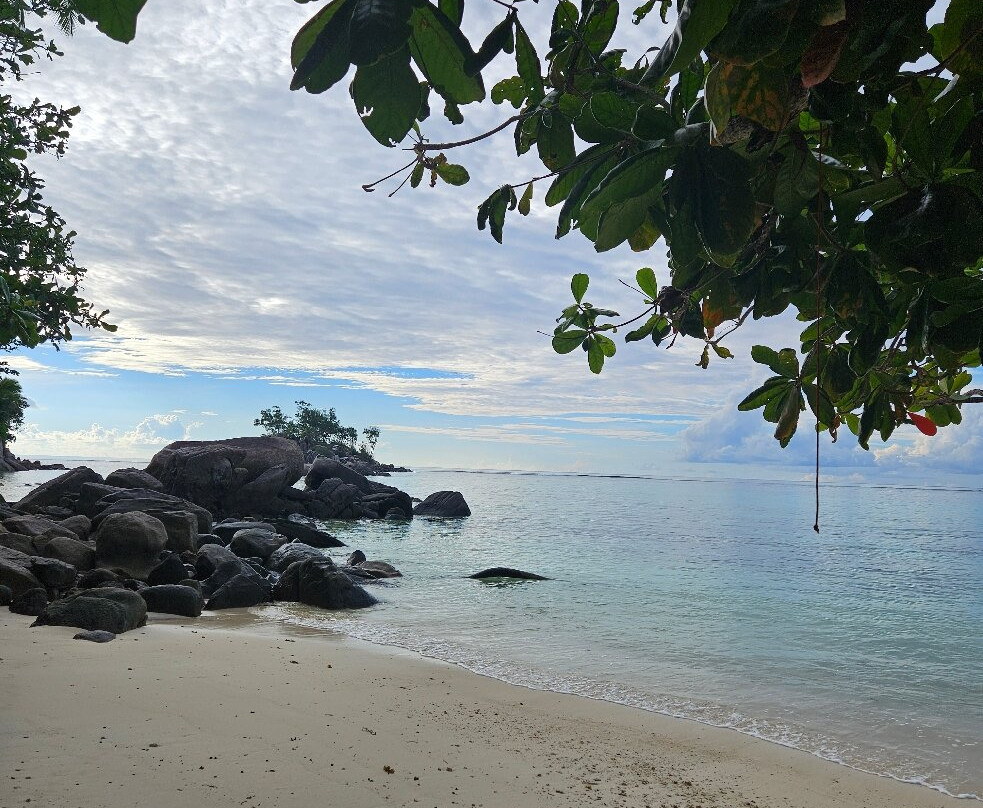 Anse Royale Beach-皇家沙滩必去景点