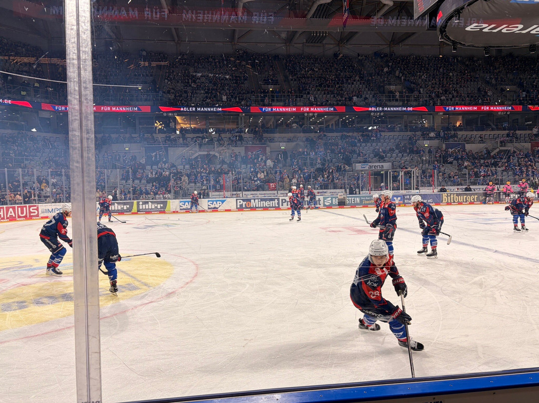 SAP Arena-曼海姆必去景点