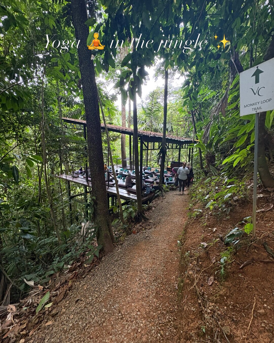 维斯塔天空酒店-官方