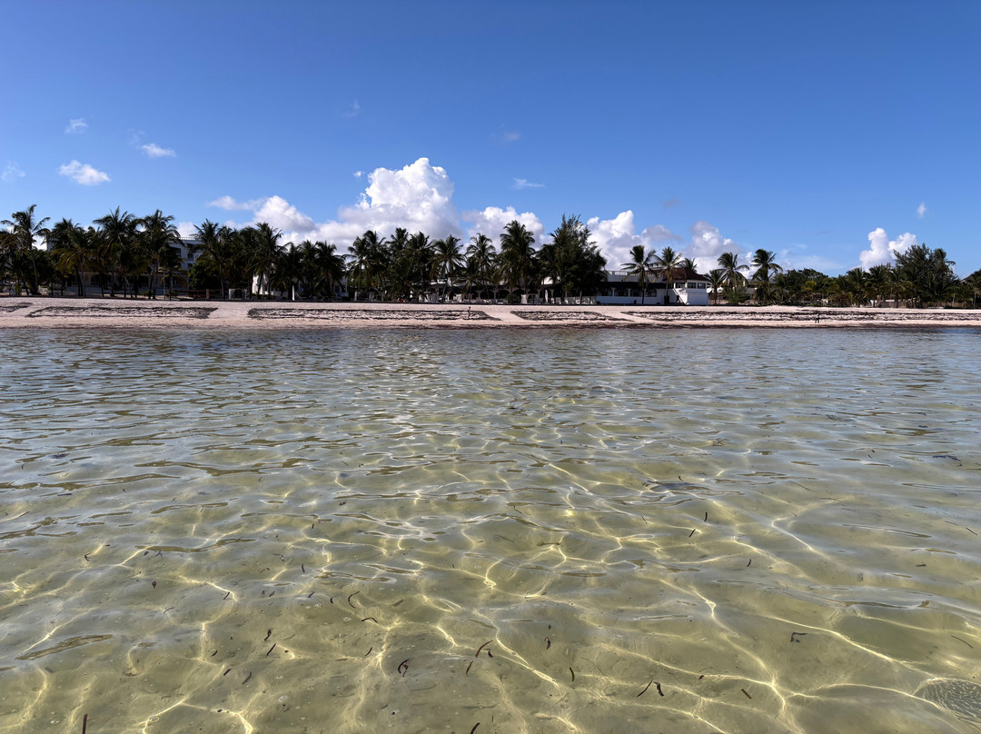 蓝花楹海滩度假村