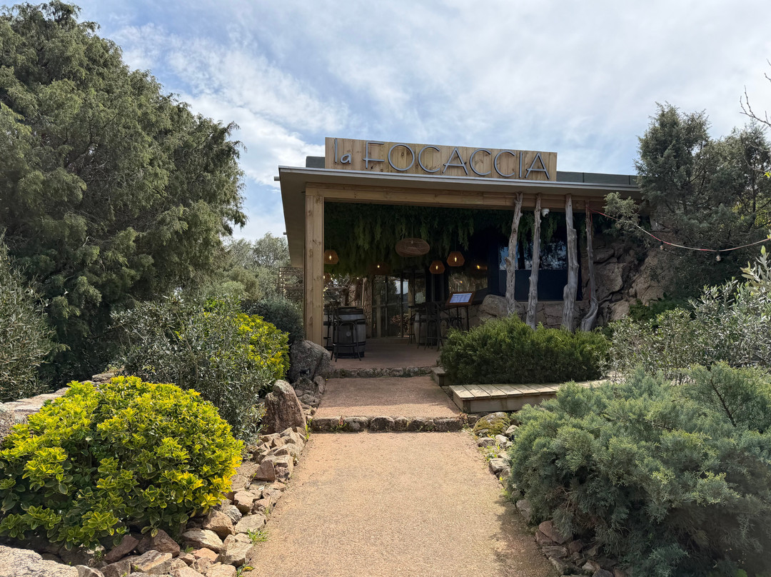 La Focaccia主图