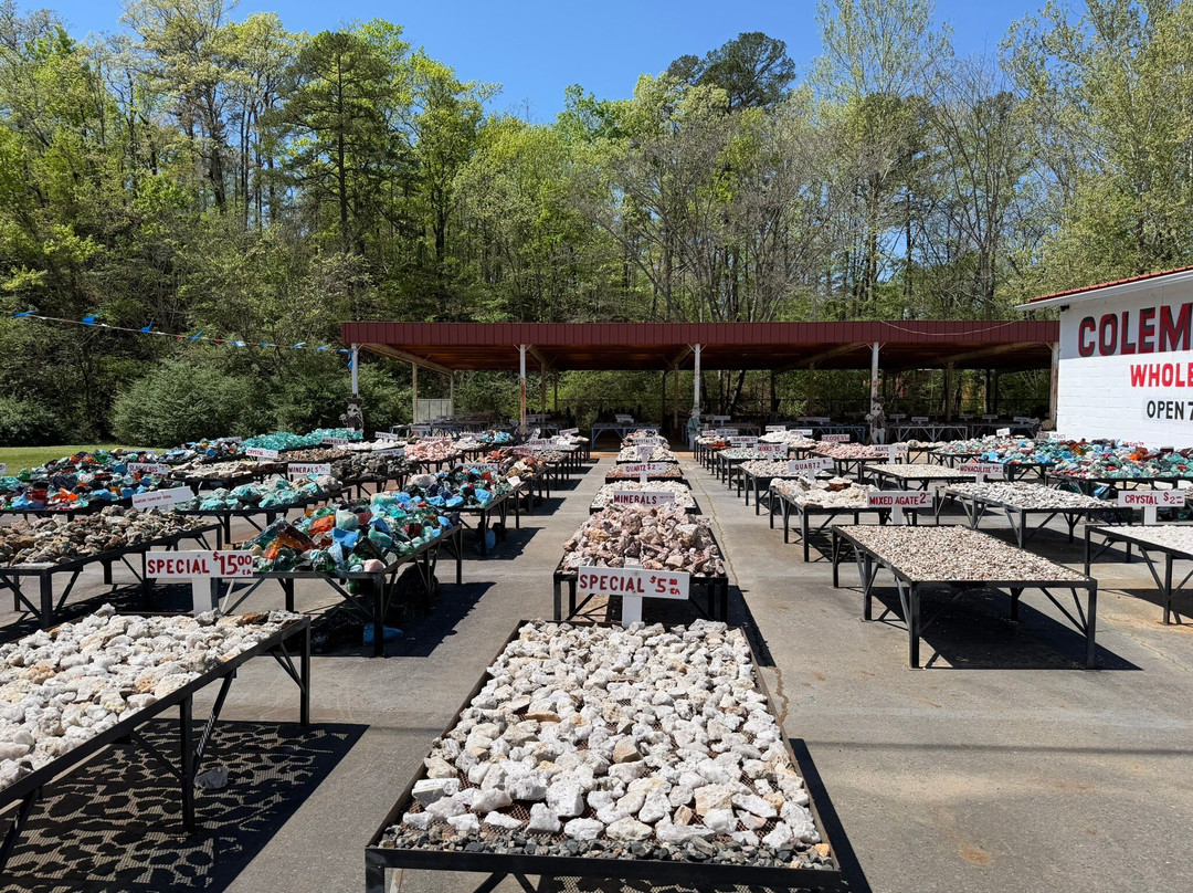 Coleman Crystal Mines and Rock Shop-Jim-Jessieville必去景点