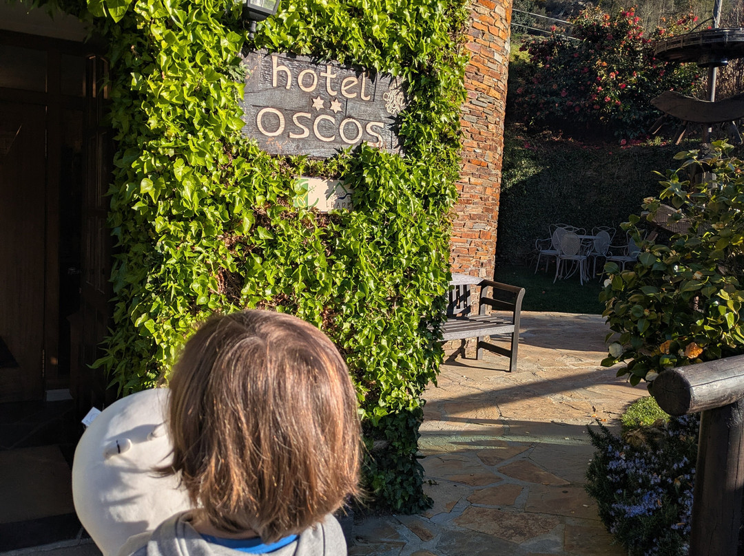 Hotel Oscos主图