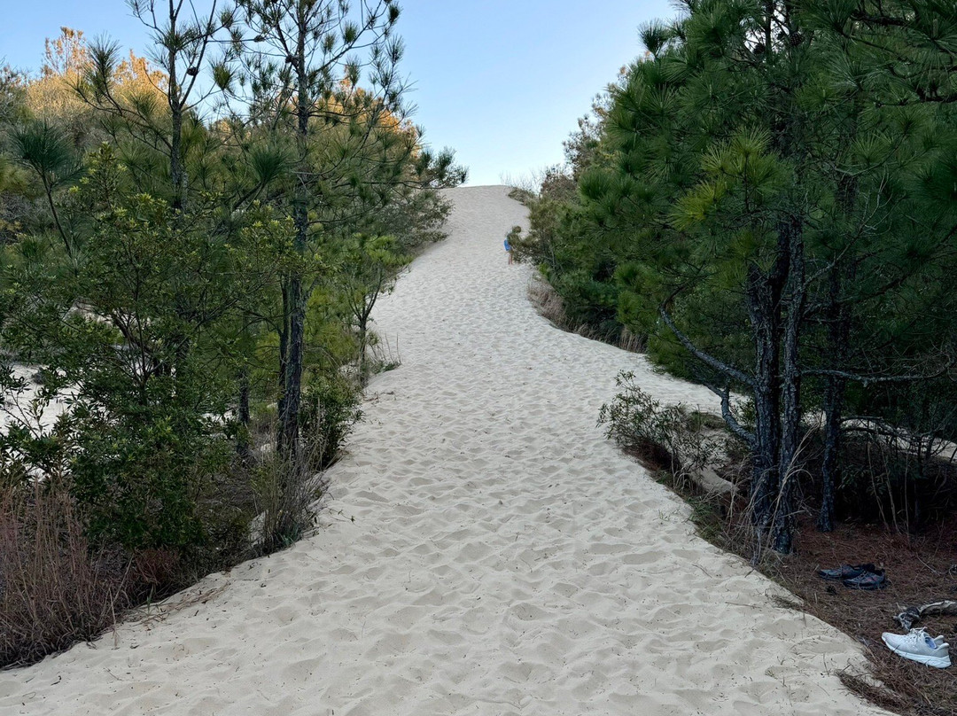 Jockey's Ridge State Park-纳格斯海德必去景点