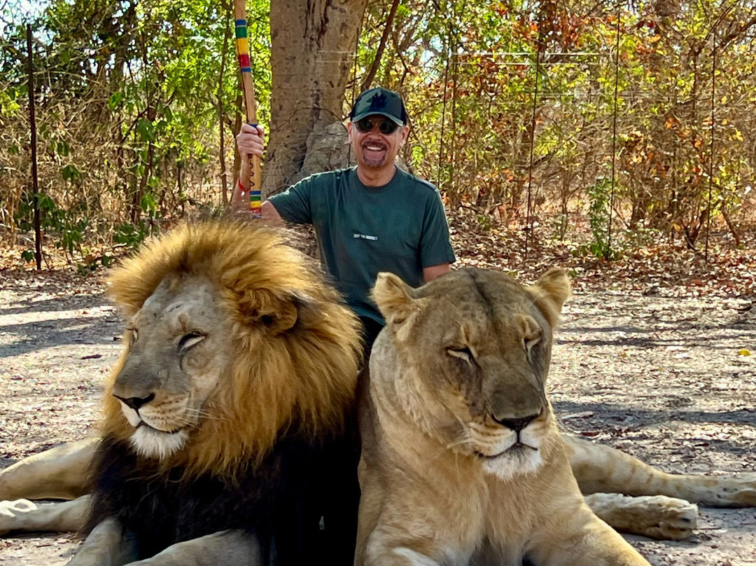 DST Travels Sénégal-Nianing必去景点