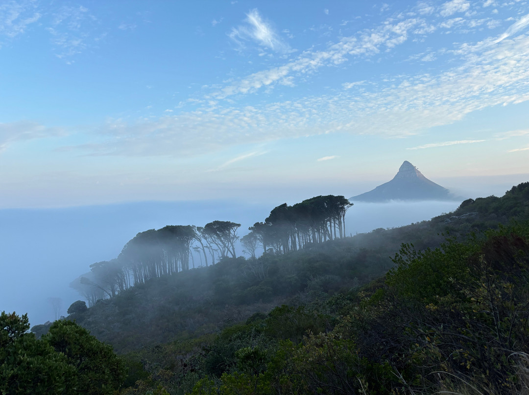 Mother City Hikers-开普敦中心区必去景点