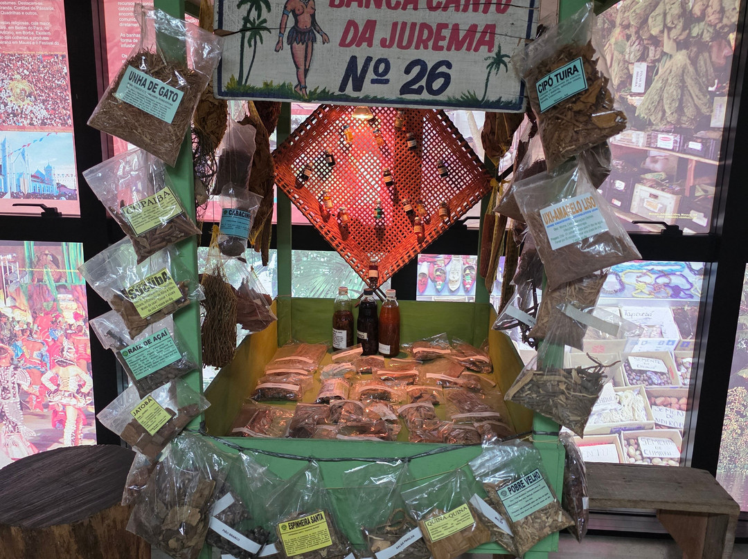 Cultural Centre of the Peoples of the Amazon-玛瑙斯必去景点