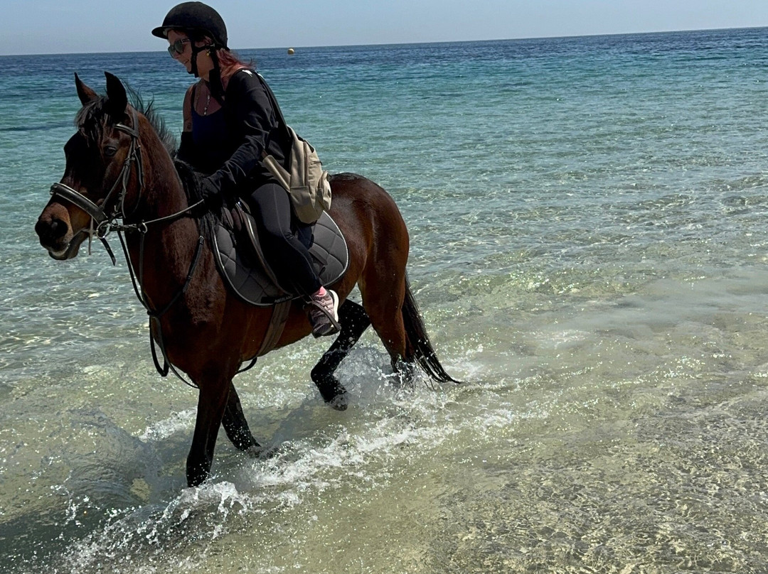 Zinebledi Horse Riding Club-苏塞必去景点