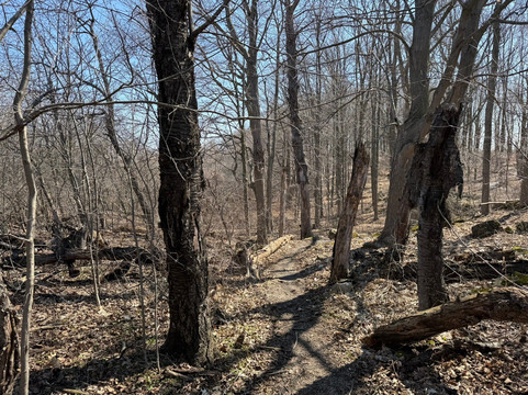 Eramosa Karst Conservation Area-Stoney Creek必去景点