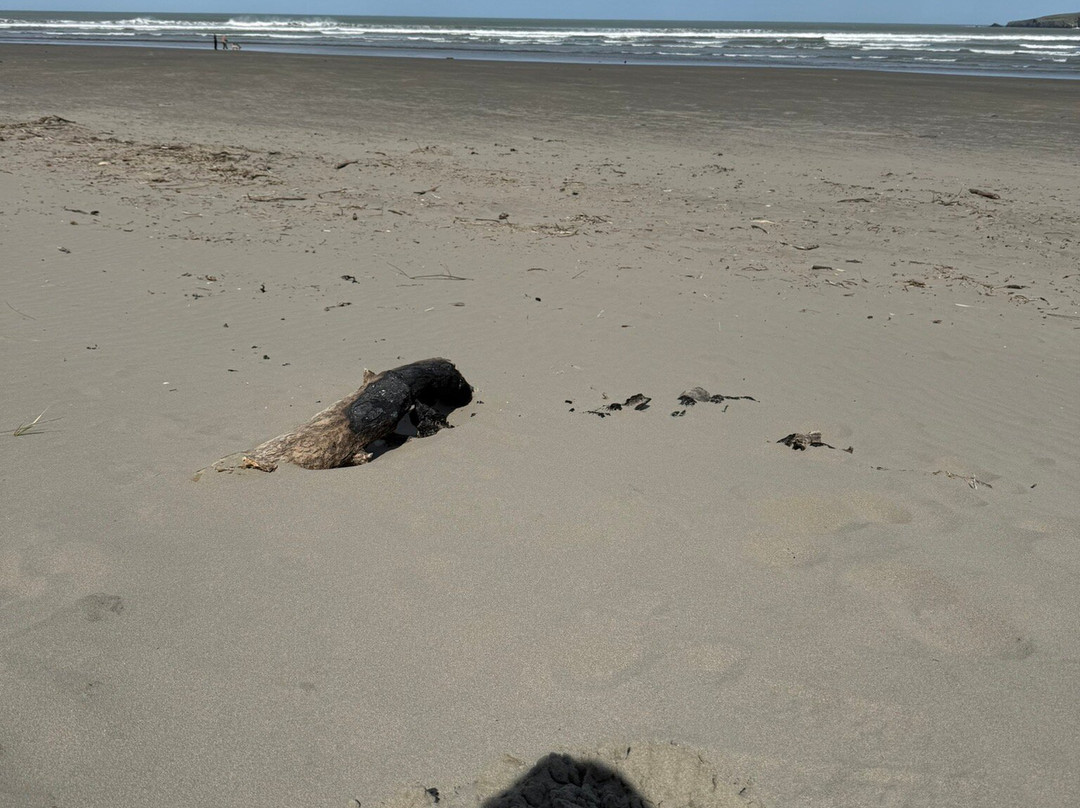 Poppit Sands Beach-Cardigan必去景点