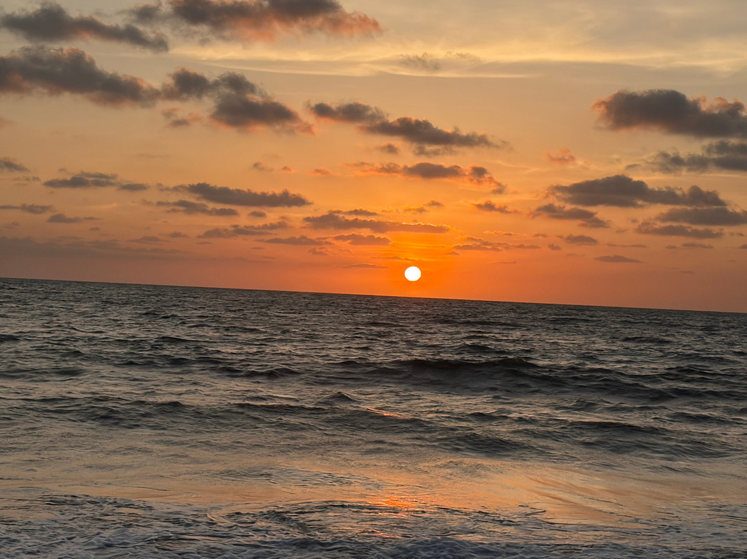 Kochi Taxi 24X7-柯钦必去景点