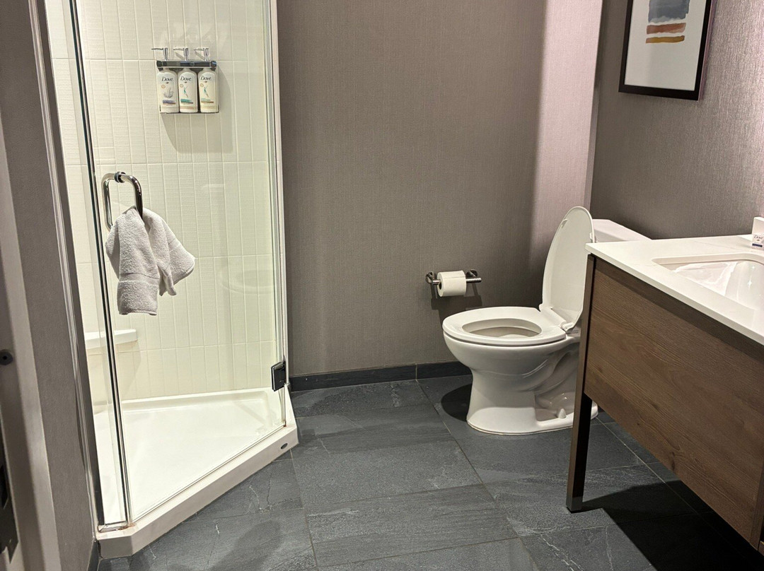 威尔明顿市中心洲际Staybridge Suites酒店主图